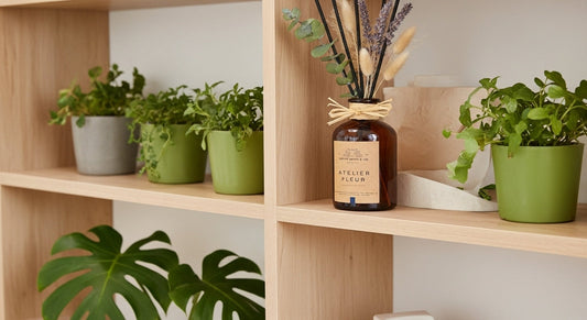 Biophilic Design + Reed Diffusers: Bring Nature Indoors This October